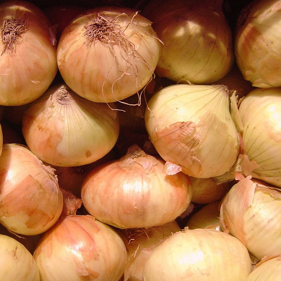 Walla Walla Sweet Onion Seeds | Non-GMO | Free Shipping | Seed Store | 1067 gallery