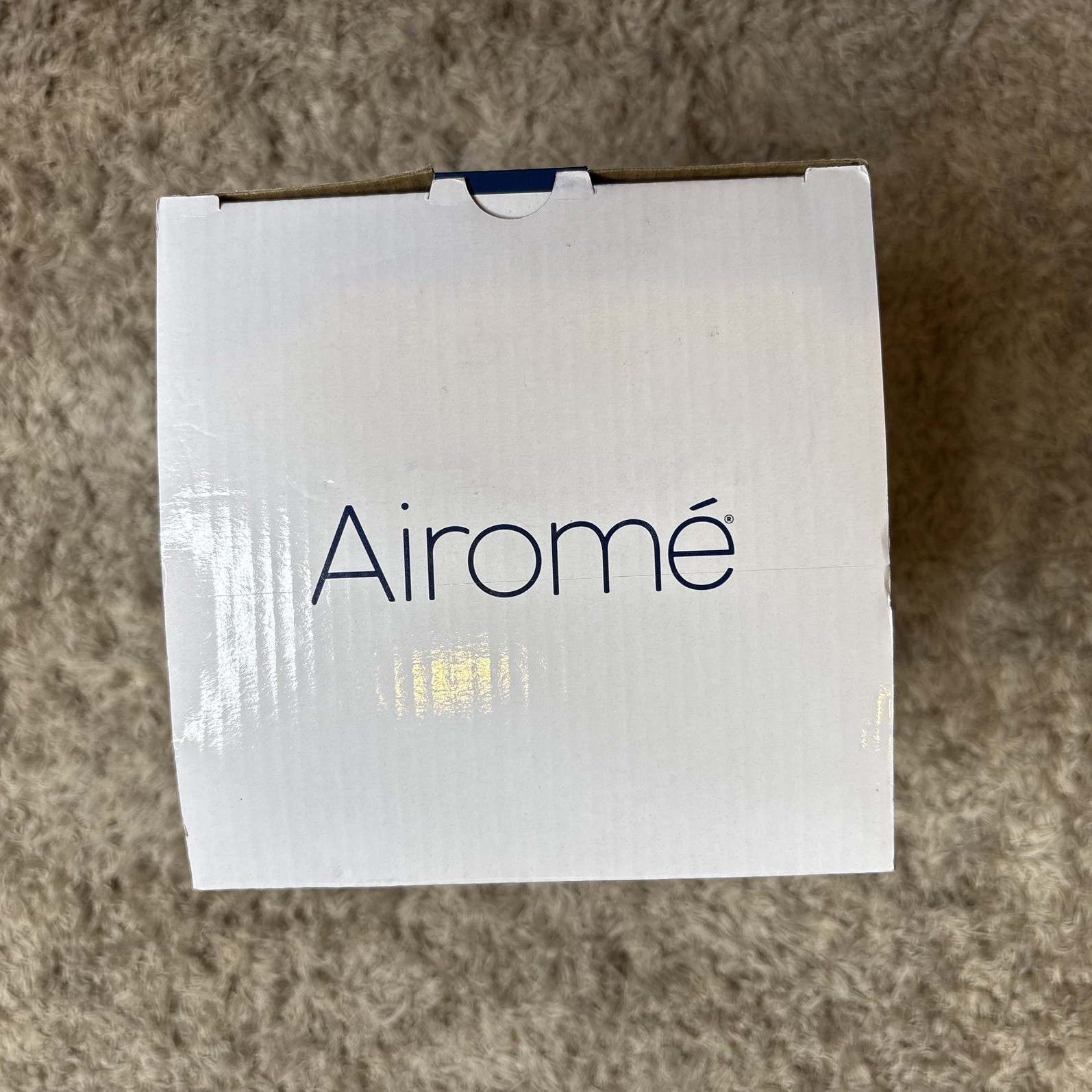 Airome Champagne Palmette Large Cut Metal Essential Oil Diffuser|250 mL Humid... gallery