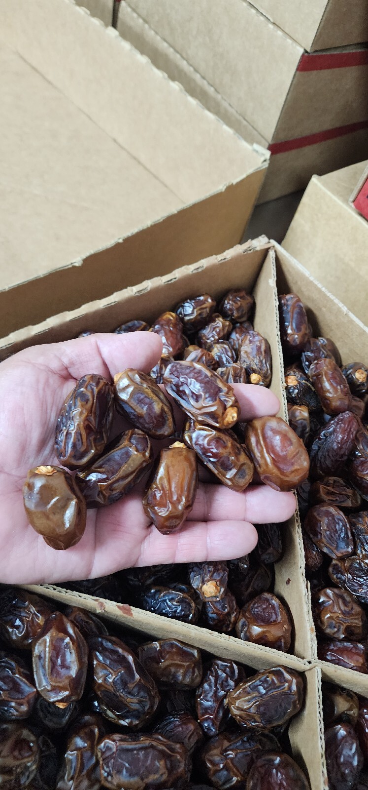 11 LB Cooking Organic Medjool Dates. gallery
