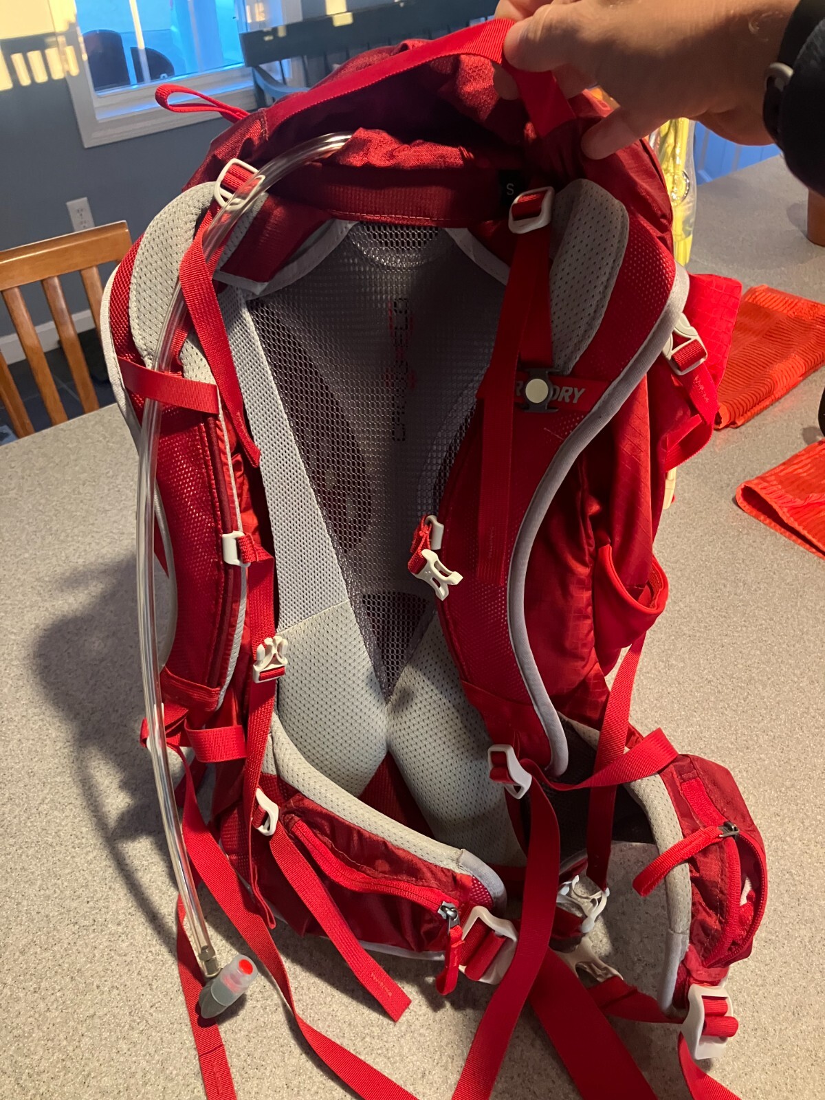 Gregory Z40 Backpack Red 26.76 Liter  3