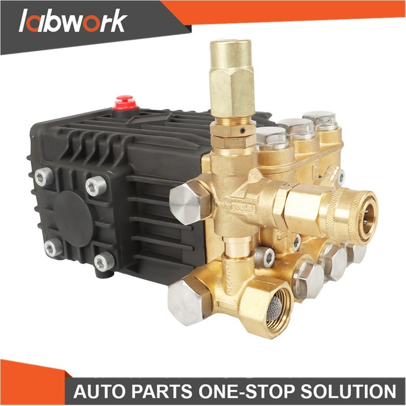 Labwork 3000 PSI Pressure Washer Pump CF 3030 G: 3.1 US gpm 3/4-in Shaft gallery