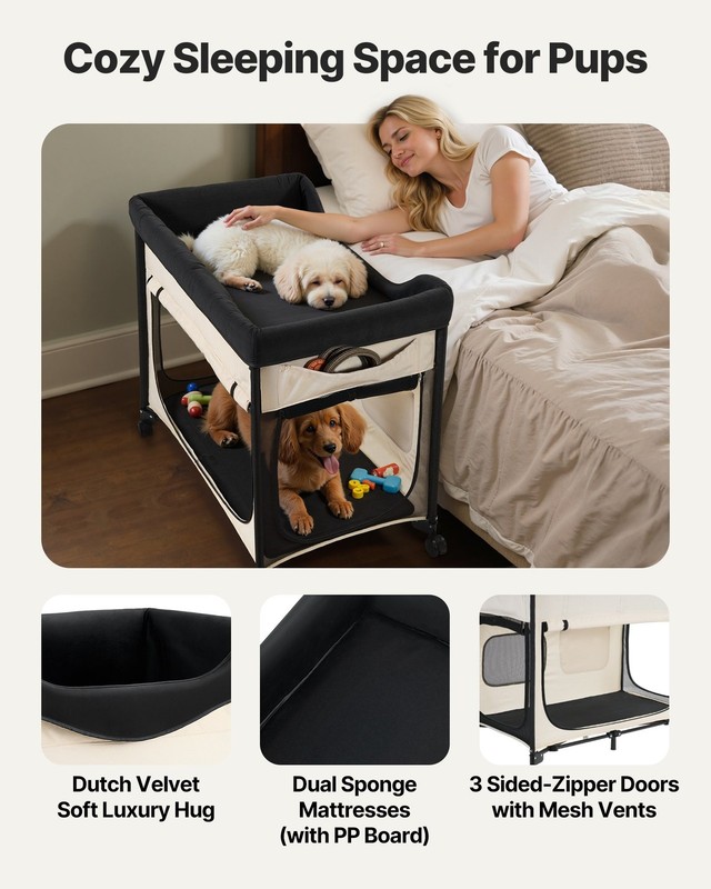 Elevated Lounge Pet Bed, Foldable Bunk Dog Bed with 600D Oxford Cloth and Dutch gallery