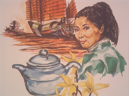 Pinhead Gun Powder Extra Fine Grade 8oz Green leaf tea gallery