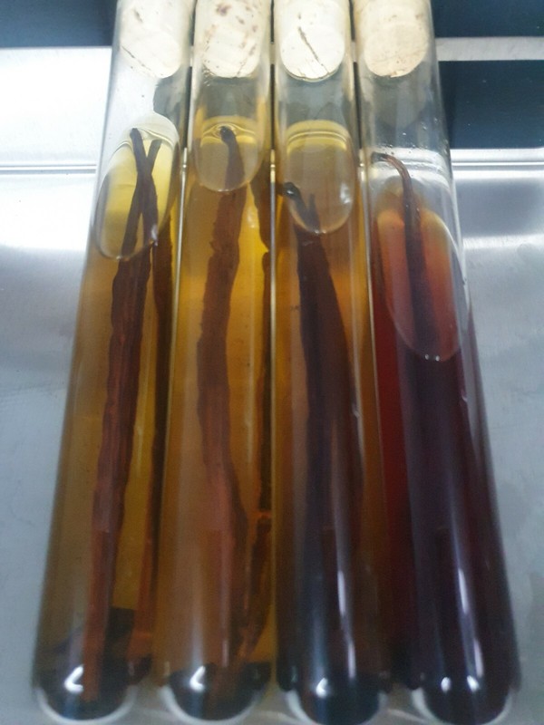  20 Bourbon Vanilla Pods Madagascar Beans Grade B DRY PREMIUM ORGANIC gallery