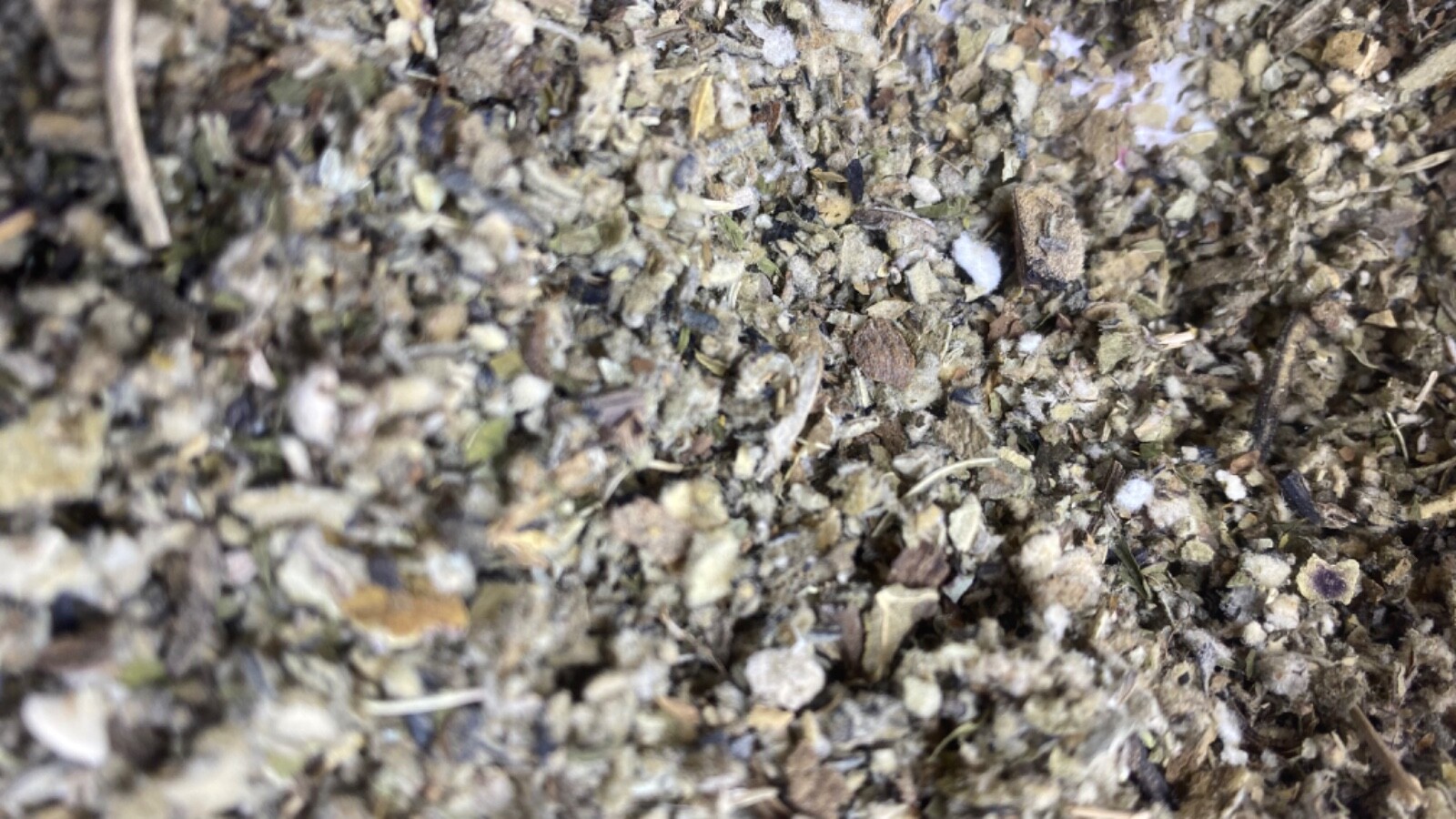 COLTSFOOT MULLEIN PEPPERMINT LOBELIA organic bulk herb blend mix 1 2 4 8 oz lb gallery