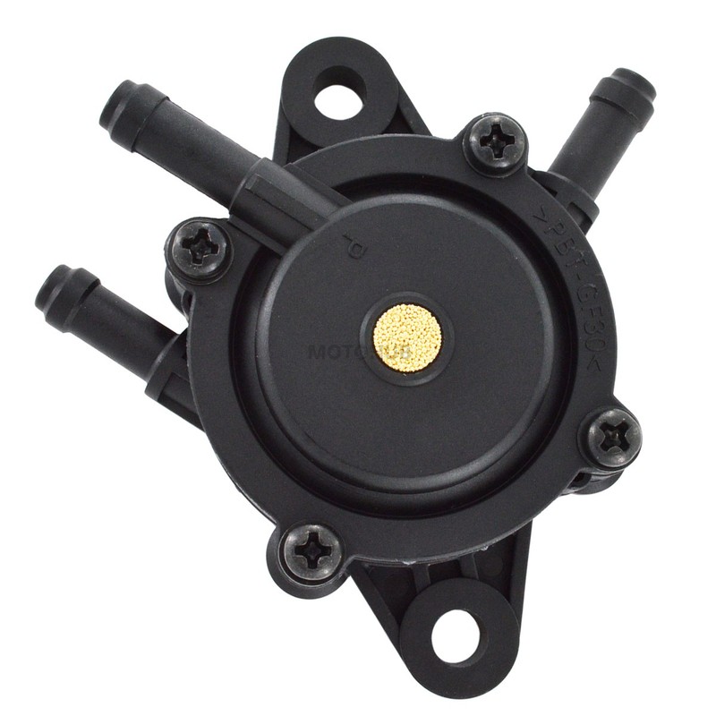 Fuel Pump & Fuel Filter For Briggs & Stratton 303772 303775 303776 303777 31P607 gallery