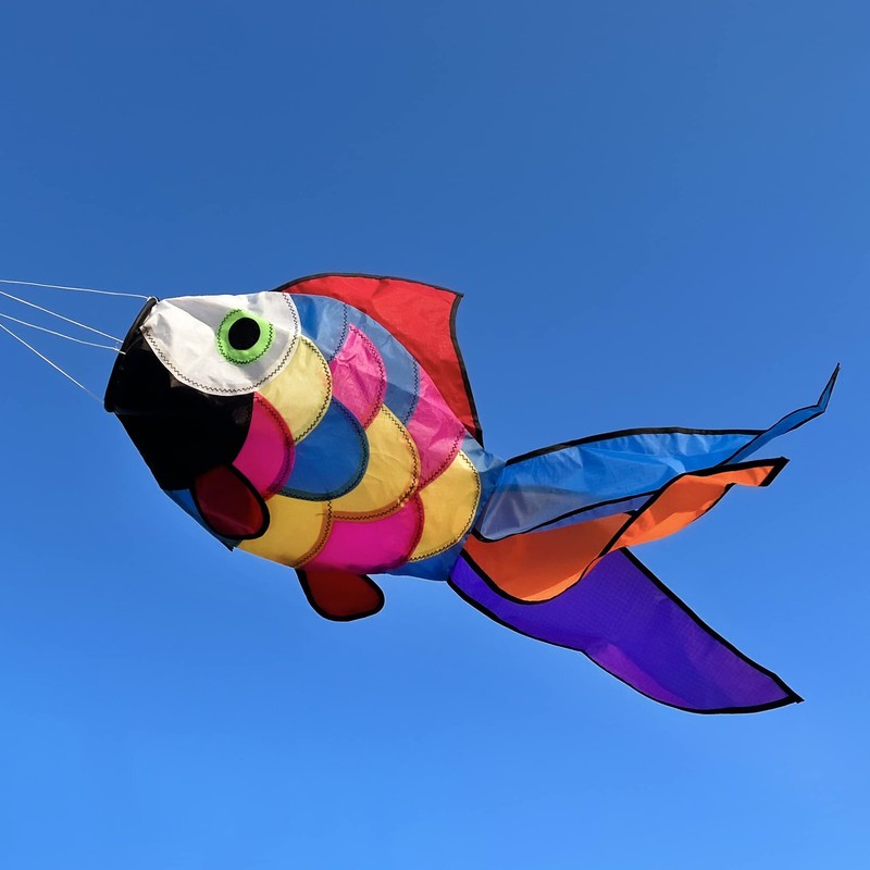 Rainbow Fish Windsock Spinner 32Inch Colorful Outdoor Decor gallery
