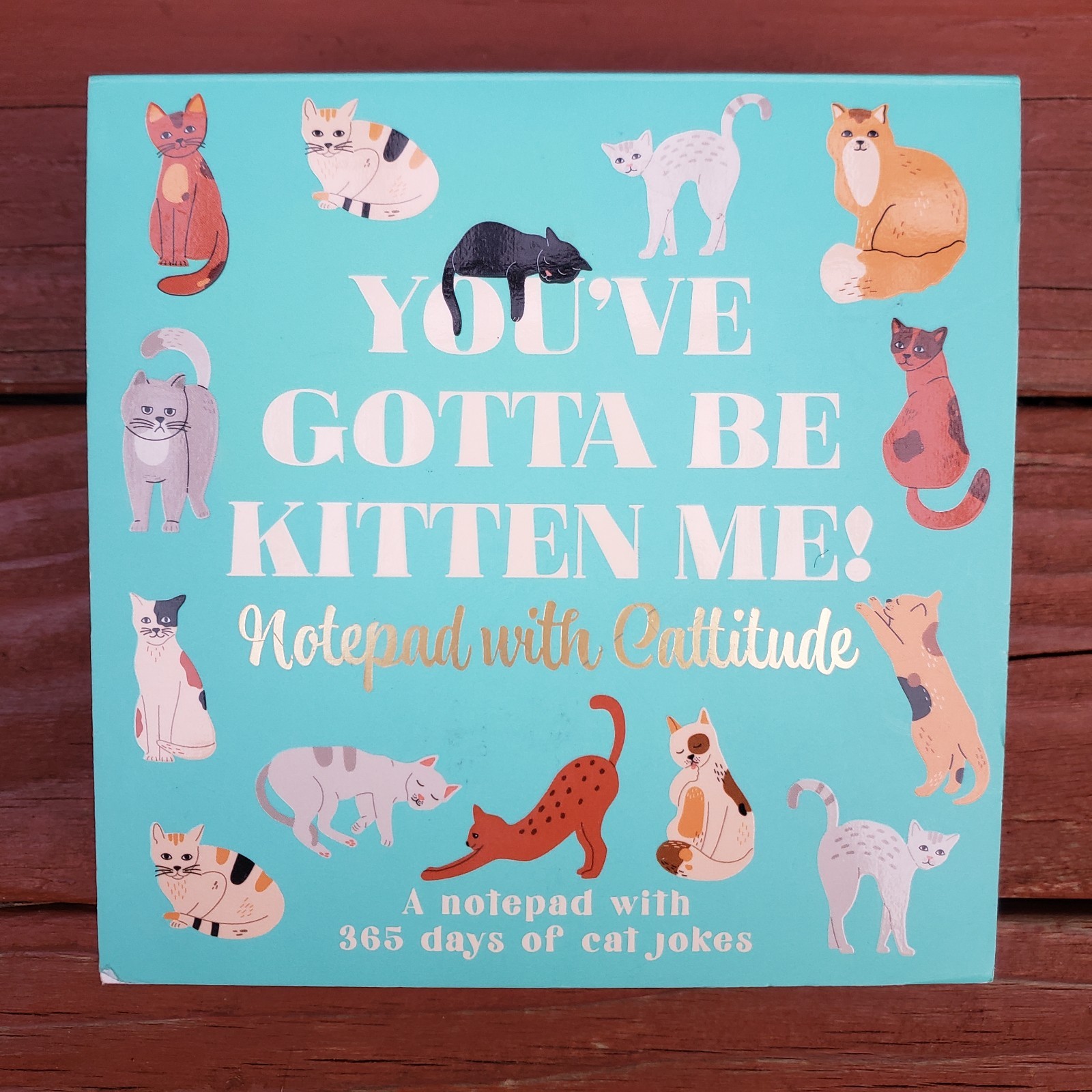 You've Gotta Be Kitten Me! Notepad With Cattitude - 365 Days Of Cat Jokes gallery
