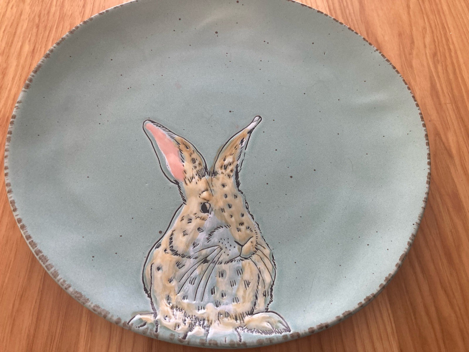 IN HOMESTYLEZ BUNNY Rabbit 11” DINNER PLATE Replacement Green 2018 Stoneware gallery