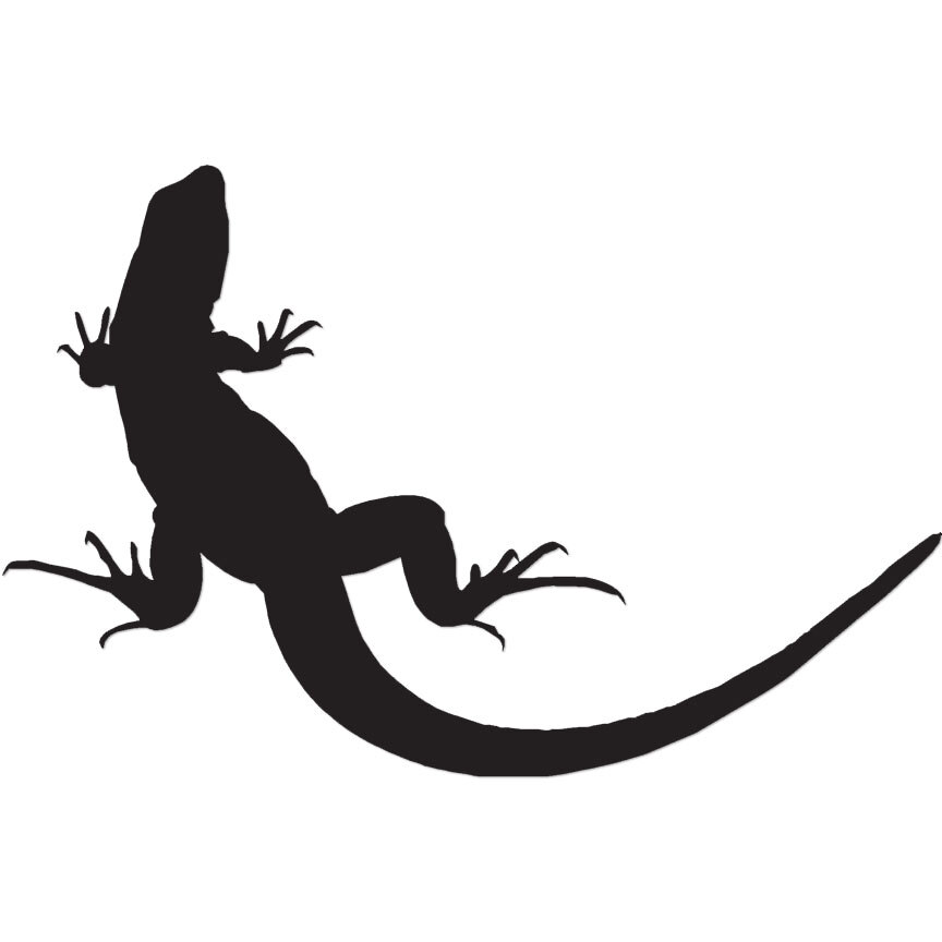 Lizard Gecko Anole - Vinyl Decal Sticker - Multiple Colors & Sizes - ebn2860 gallery