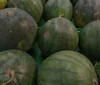 FLORIDA GIANT/BLACK DIAMOND WATERMELON 10 SEEDS gallery