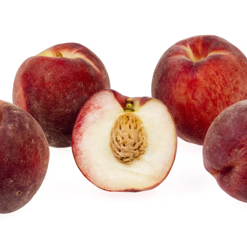 Snow Queen White Nectarine Tree (Bare-Root, 3 Ft. to 4 Ft. Tall, 2-Years Old) gallery