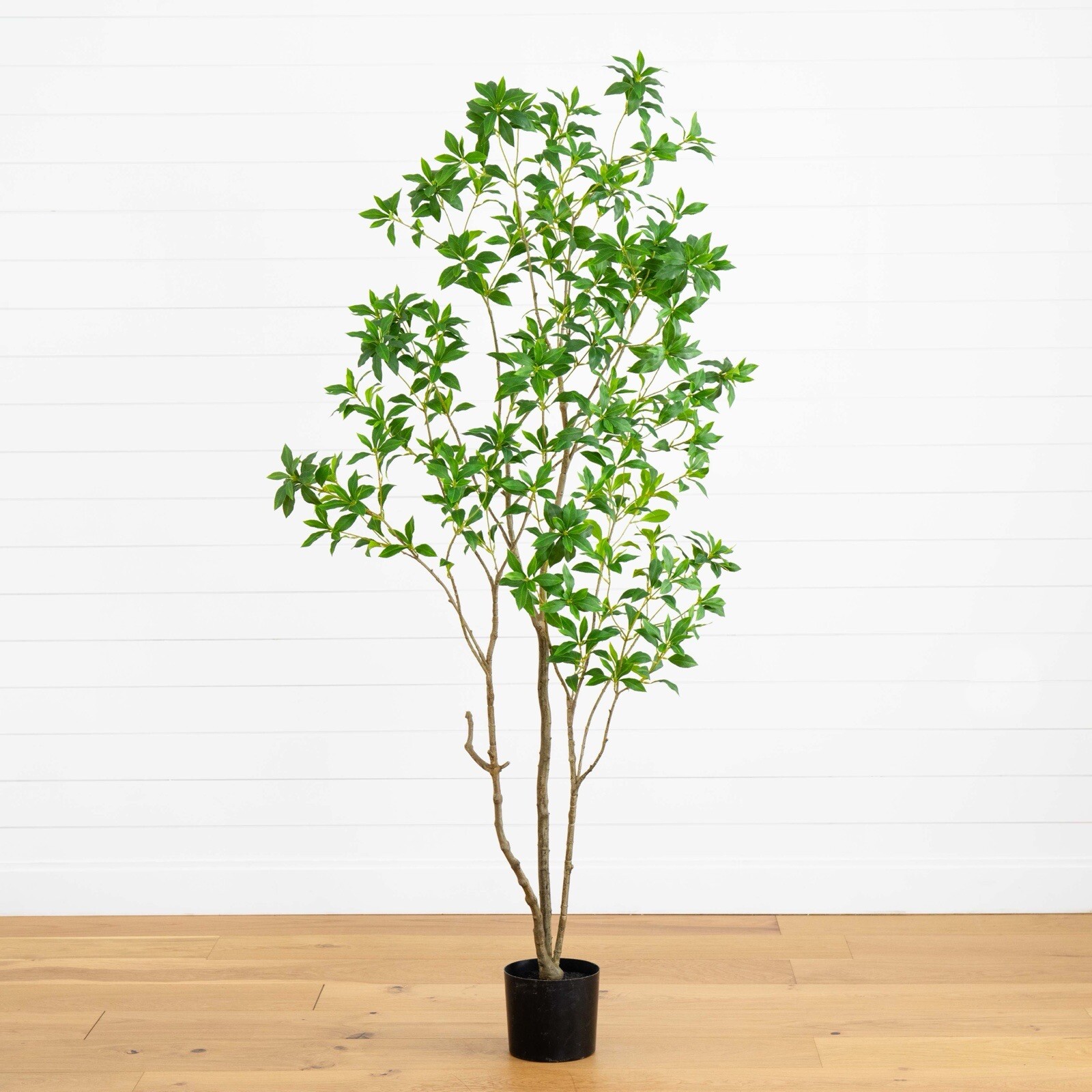 7’ Artificial Minimalist Japanese Pieris Tree w/Real Touch Leaves. Retail $309 gallery