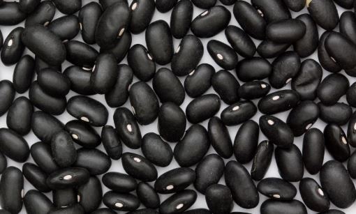 30 ORGANIC BLACK TURTLE BEAN SEEDS (Phaseolus vulgaris) Protein Vegetable Legume gallery