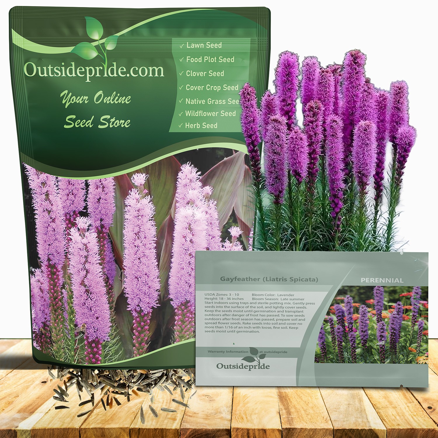 1 LB Drought Resistant Gayfeather Liatris Spicata Wildflower Plant Seed gallery