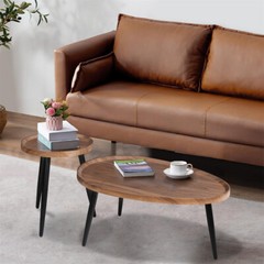 2 Piece Modern Solid Wood High Gloss Coffee Table Living Room Office Furniture