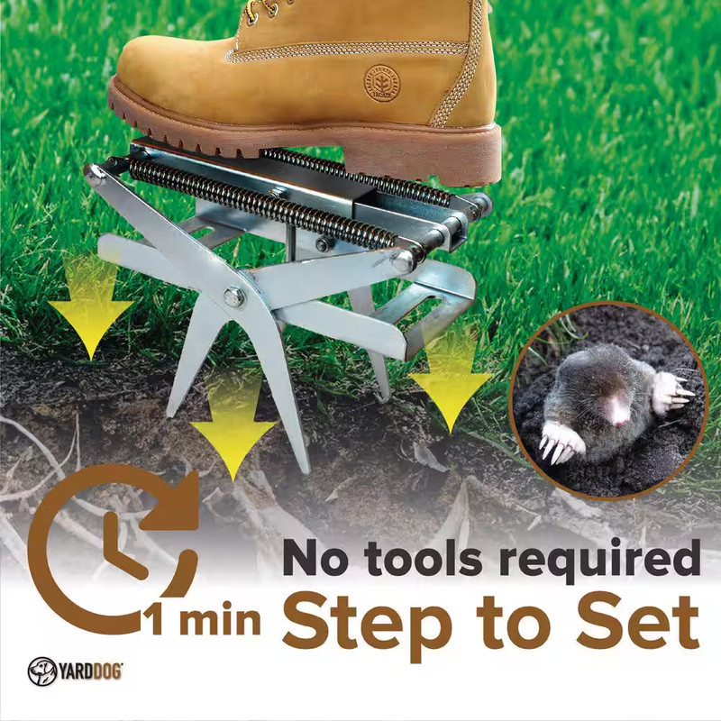 Mole Trap gallery