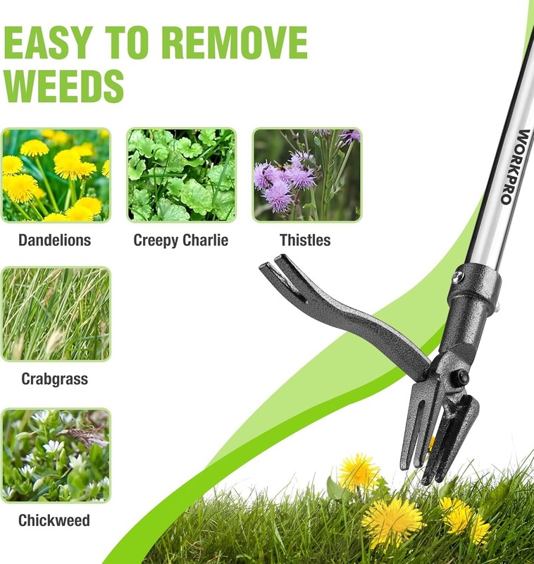 WORKPRO Weed Puller Tool 44" Handle Heavy-Duty 4-Claw Iron Head Stand-Up Weeders gallery