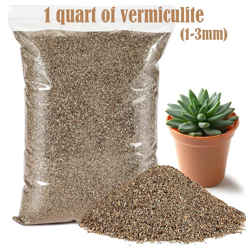 1 quart vermiculite, a soil conditioner suitable for gardening and potted plants gallery