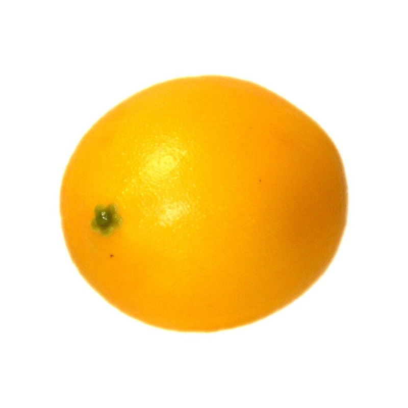 Artificial Lemon Large Deep Yellow Fruit Lemons Citrus Fake Theater Photo Prop gallery