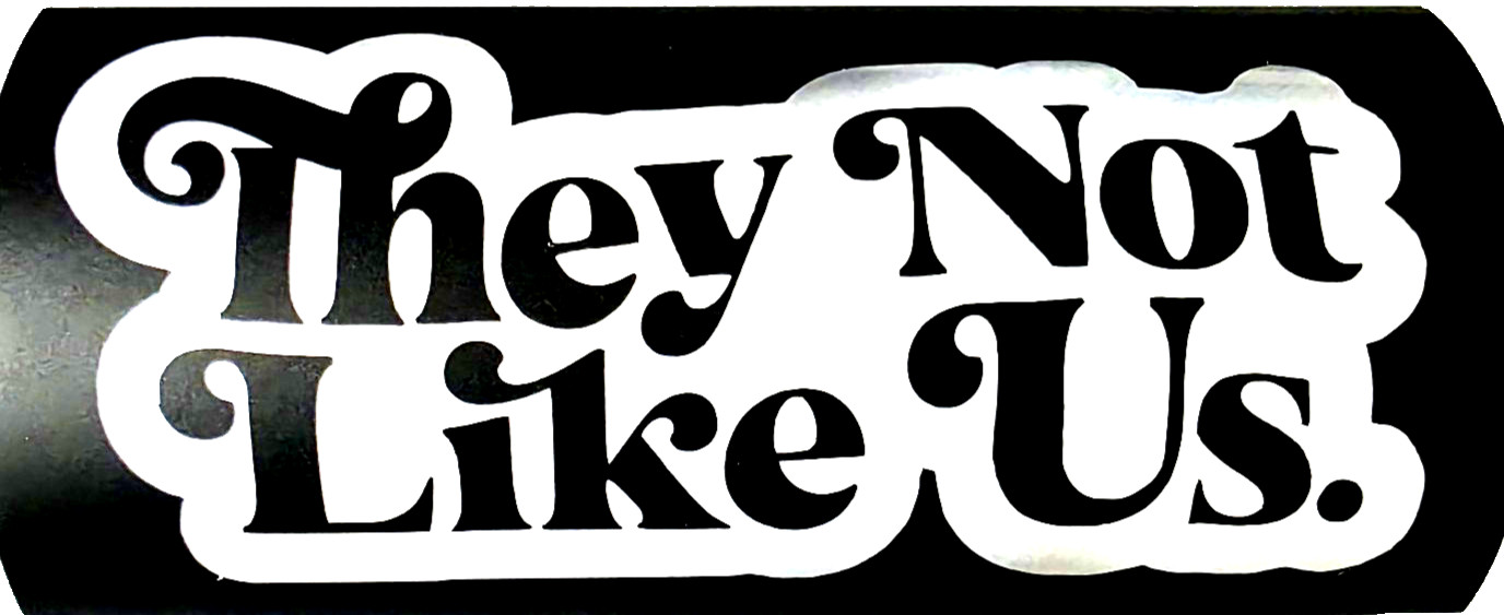 They Not Like Us Vinyl Decal Sticker Waterproof 3x6 Inches White or Black 23/24 gallery