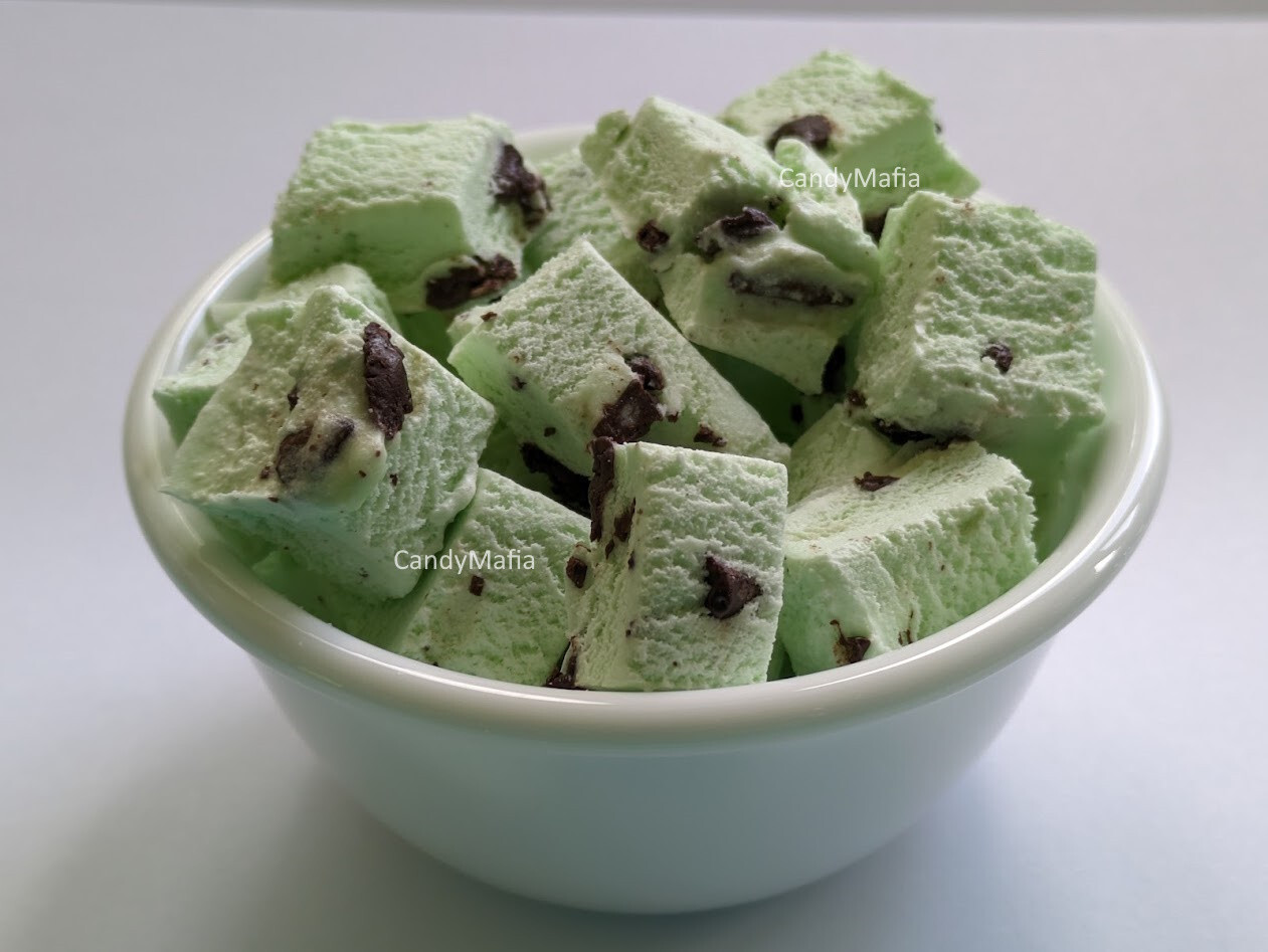 Freeze Dried Ice Cream - MINT CHOCOLATE CHIP 2oz Astronaut Ice Cream gallery