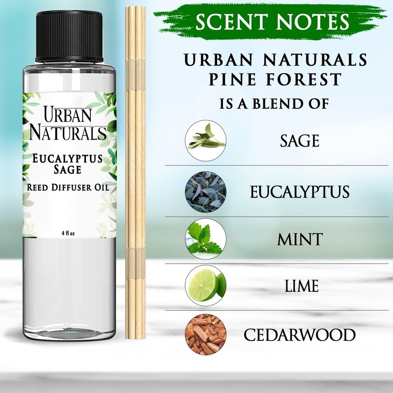 Eucalyptus & Sage Oil Reed Diffuser Refill | Eucalyptus, Sage, Mint, Lime and... gallery
