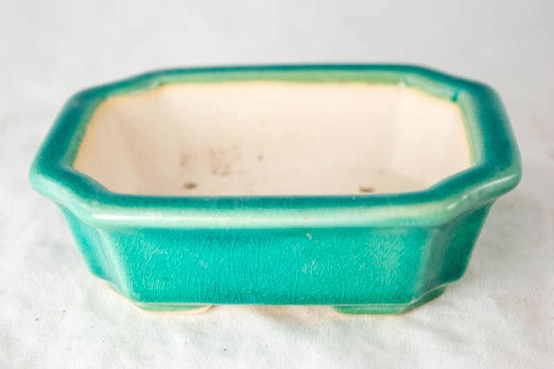 Fine Rectangular Cactus & Succulent, Mame Bonsai Pot + Mesh 4.25"x 3.5"x 1.25" gallery