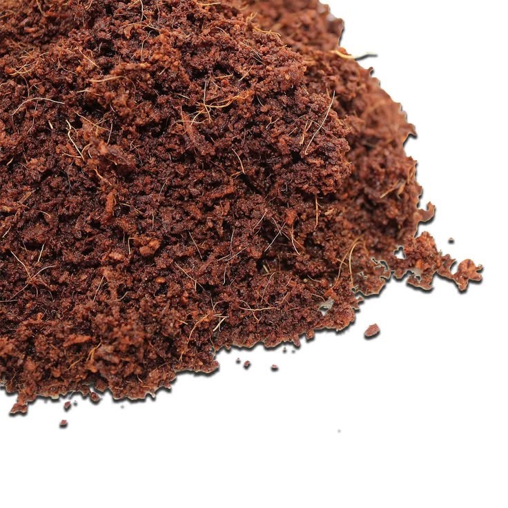 Coco Powder Peat Coconut Husk Fiber Powder 100% Organic Coir Dust Growing gallery