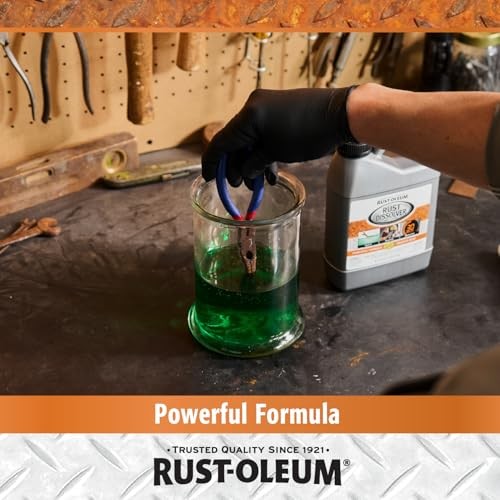 Rust Dissolver Soak & Bath | Heavy-Duty Corrosion 32 Fl Oz (Pack of 1) Liquid gallery