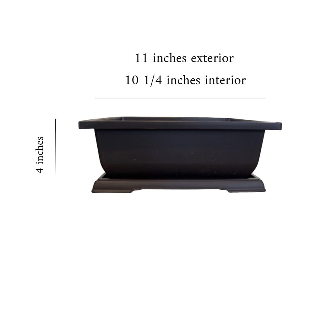 Large Bonsai Pot and Drip Tray - 11 inch Rectangle Container with Tray gallery