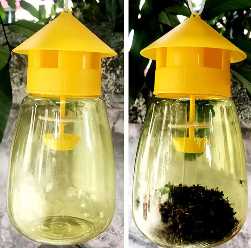 3pcs Fruit Fly & Insect Trap – Outdoor Plastic Hanging Drosophila Killer - NEW gallery