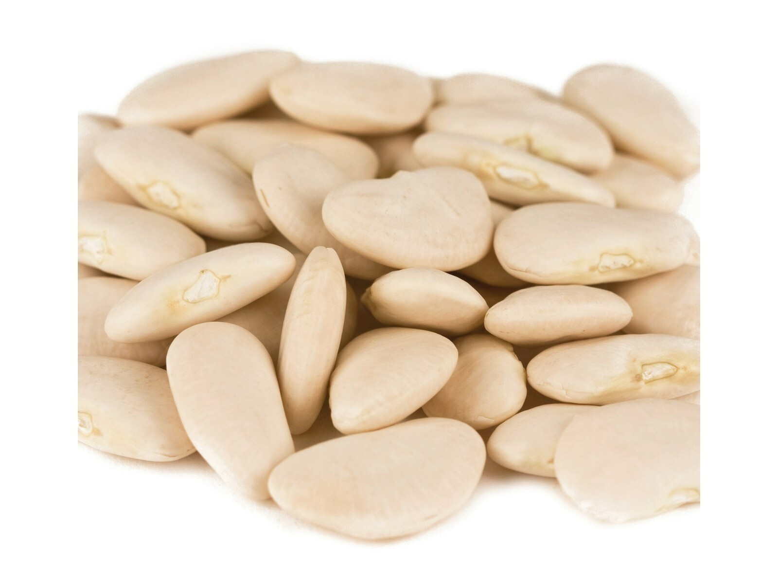Large Lima Bean Beans 10 Pounds Free Shipping gallery