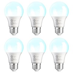12Pack Regal LED A19, E26 Light Bulbs Daylight 9W (60W Equivalent) 800 Lumens