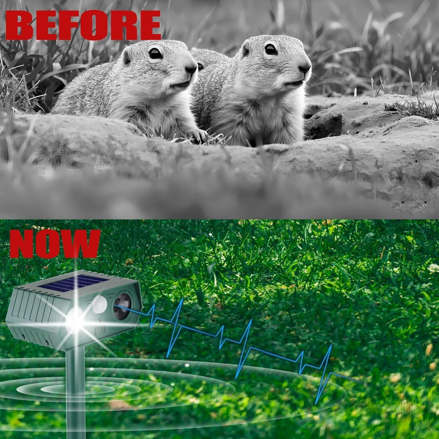 Outdoor Ultrasonic Insect & Pest Repellers gallery