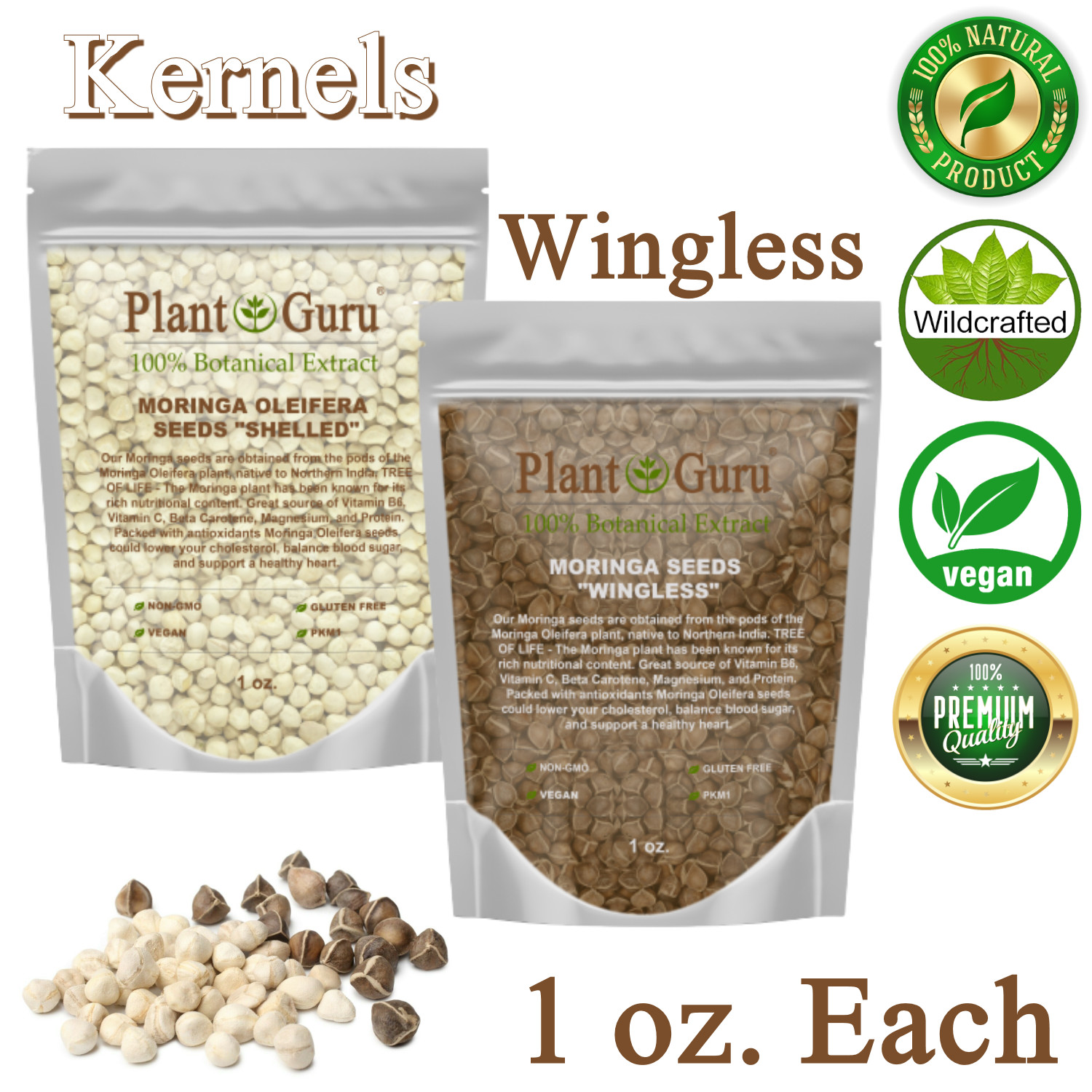 Moringa Oleifera Seeds 1 oz. Each WINGLESS & SHELLED Fresh Semillas De Moringa gallery