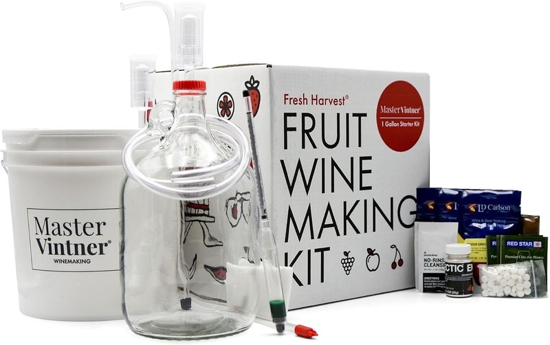 Quick and Engaging Wine Making Experience - One Gallon Fruit Kit for Beginners gallery
