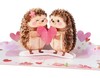 D4DREAM Pop Up Valentines Day Card - 20 cm x 15 cm, 1-Hedgehog Valentine gallery
