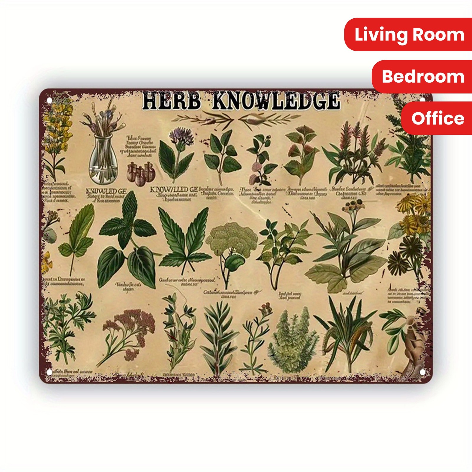 Vintage Herb Knowledge Metal Sign Botanical Wall Art Kitchen Garden Herbal Decor gallery