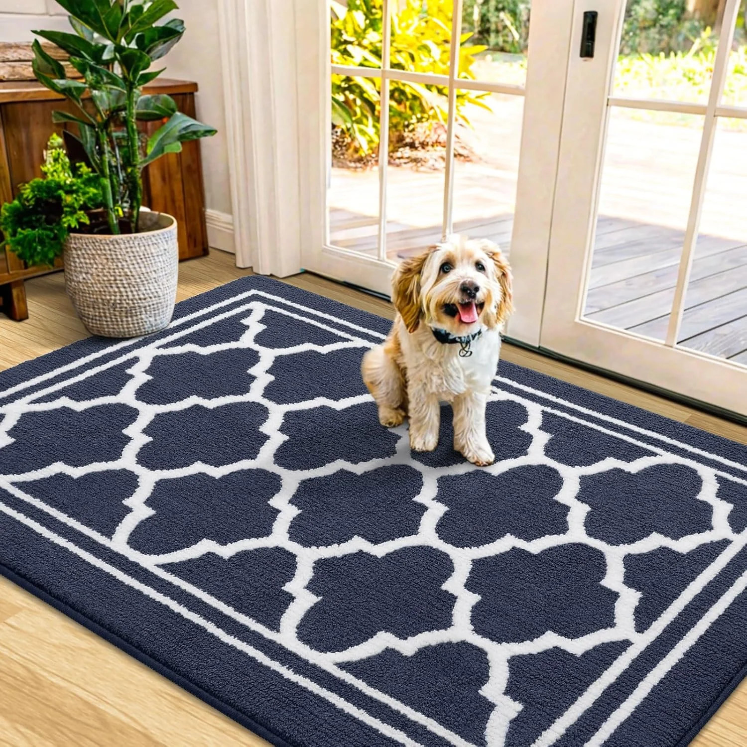 Buganda Indoor Door Mat, Dirt-Resistant and Absorbent Doormat, Anti-Slip, Low Pr gallery
