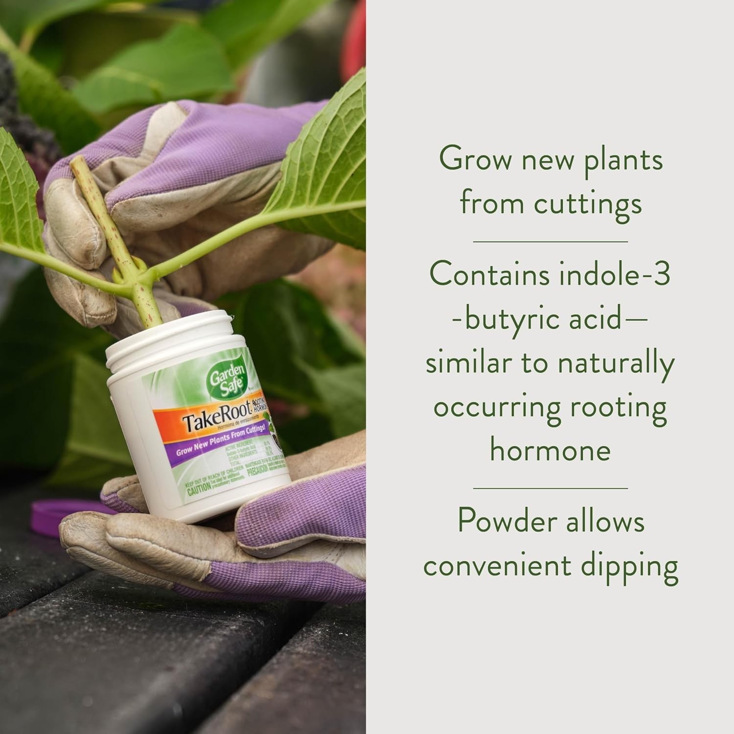 2 Pack Garden Safe Takeroot Rooting Hormone, New Plants Growth Powder - 2 Oz gallery