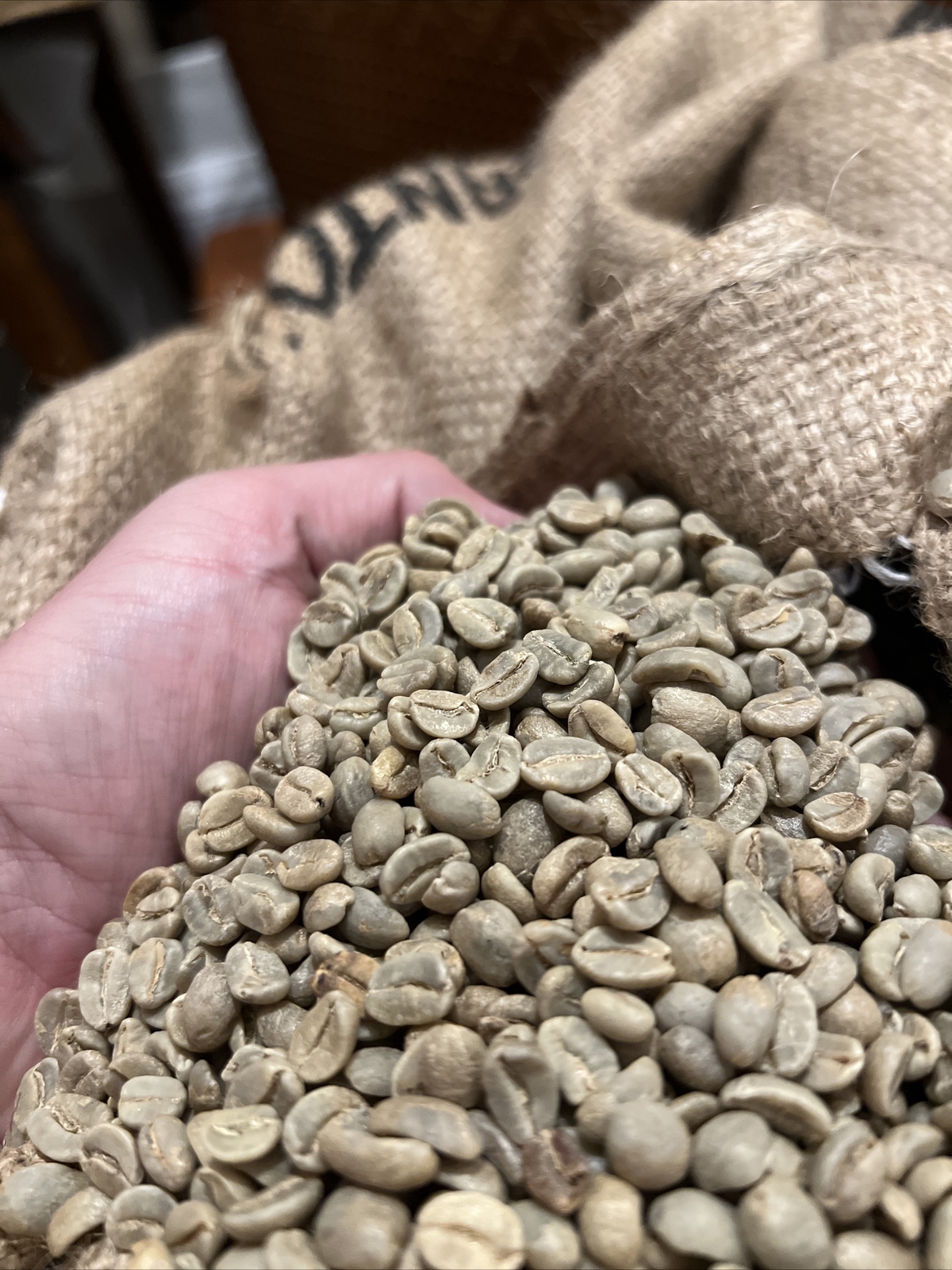 4 LBS UNROASTED GREEN COFFEE BEANS From Nicaragua gallery