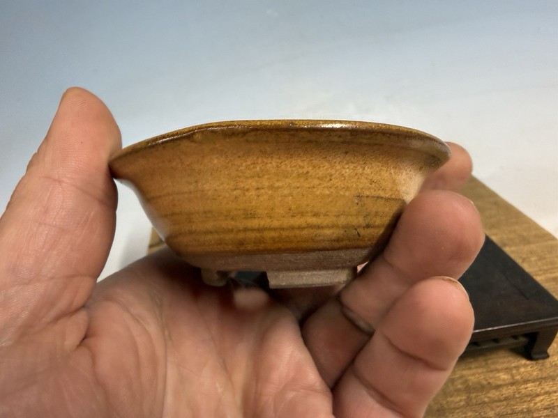 Japanese Unknown Maker Shohin Bonsai Tree Pot 3 1/2 By 1 1/4” Mustard Glaze gallery
