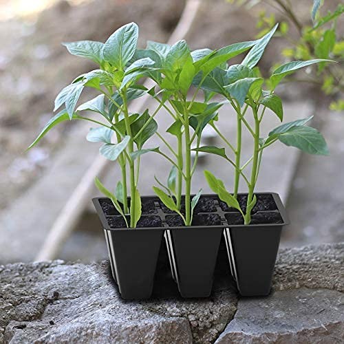 30 Pack 6-Cell Seed Starting Tray for Seedlings, Plant Starter Trays with New... gallery