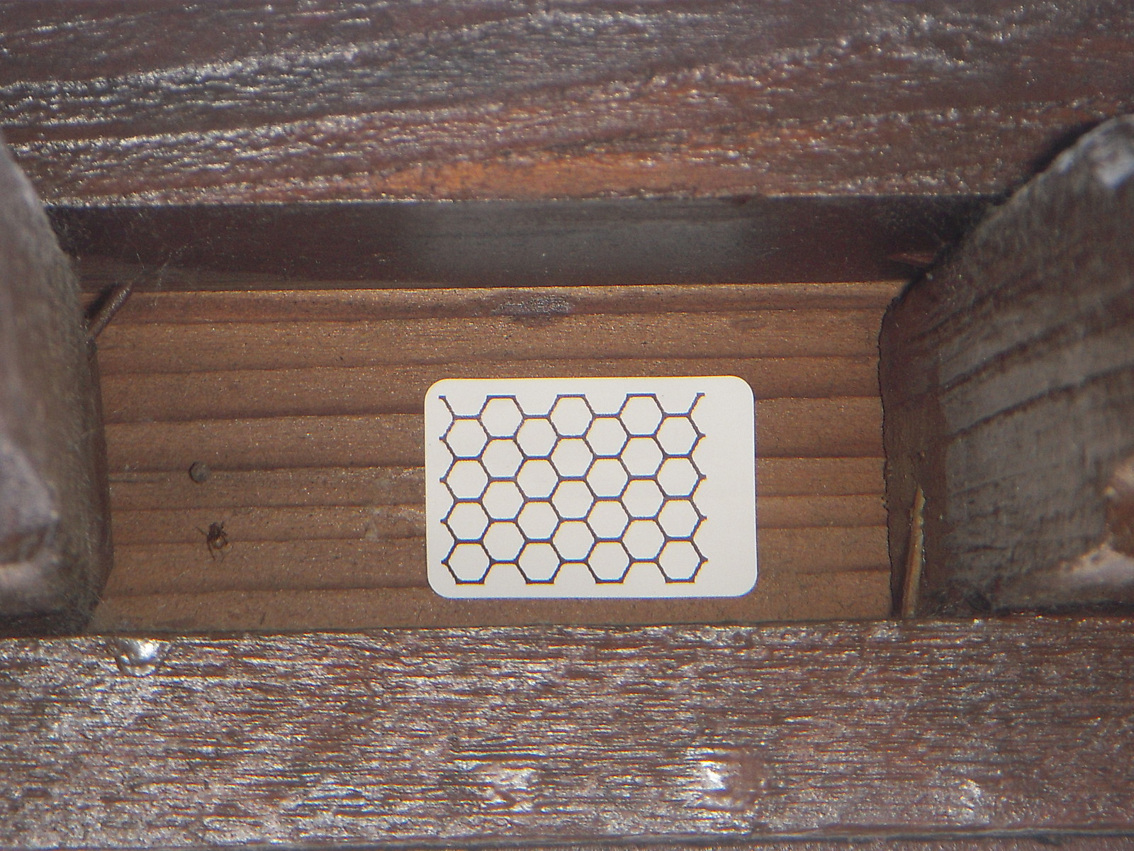 Qty 50 Honeycomb Sticker Prevent Yellow Jacket Bee Hornet Wasp Nest NO Chemicals gallery