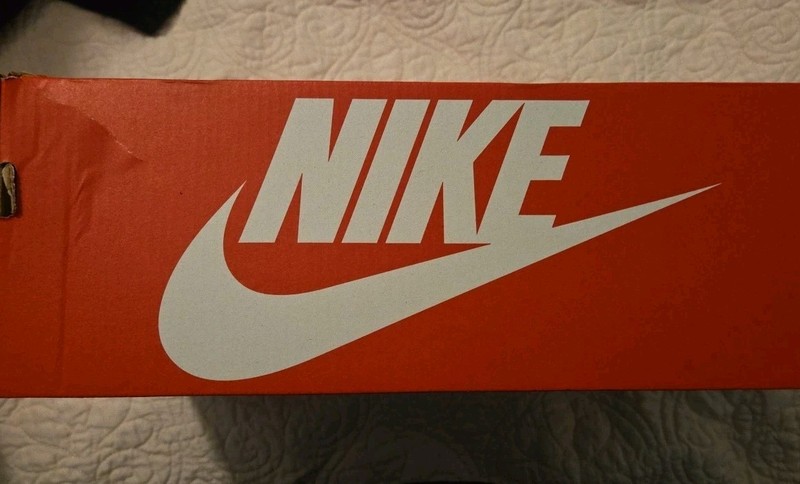Nike Dunk Low Retro SE Empty Shoe Box. (T) Size 12 gallery