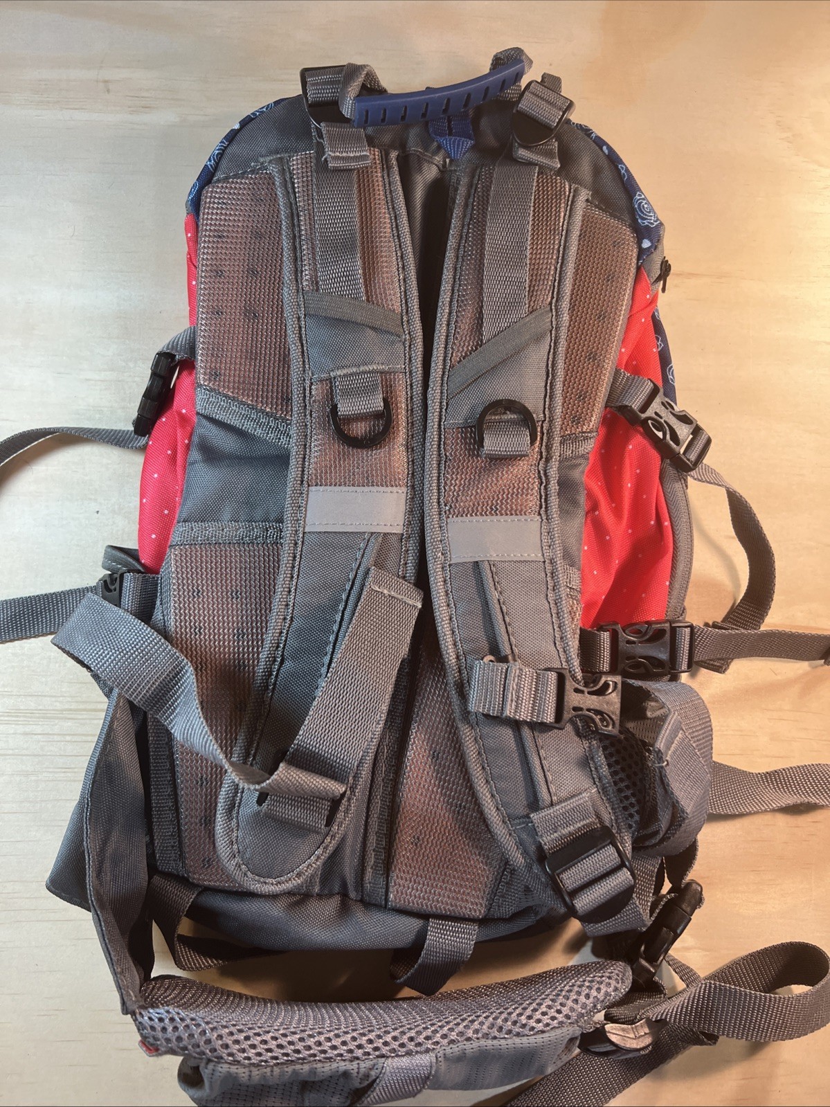 Hiking Day Pack Woman’s Coleman Small 2