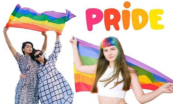 Rainbow Pride Flag 6x9 Inch 6" x 9" Hand Flag On Stick LGBTQ LGBTQIA+ gallery