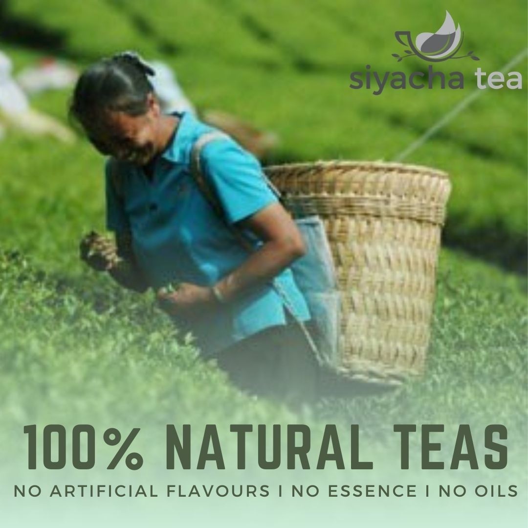 Scottish Breakfast Tea Strong Rich Fresh Loose Leaf Blend Premium Black Tea 250g gallery