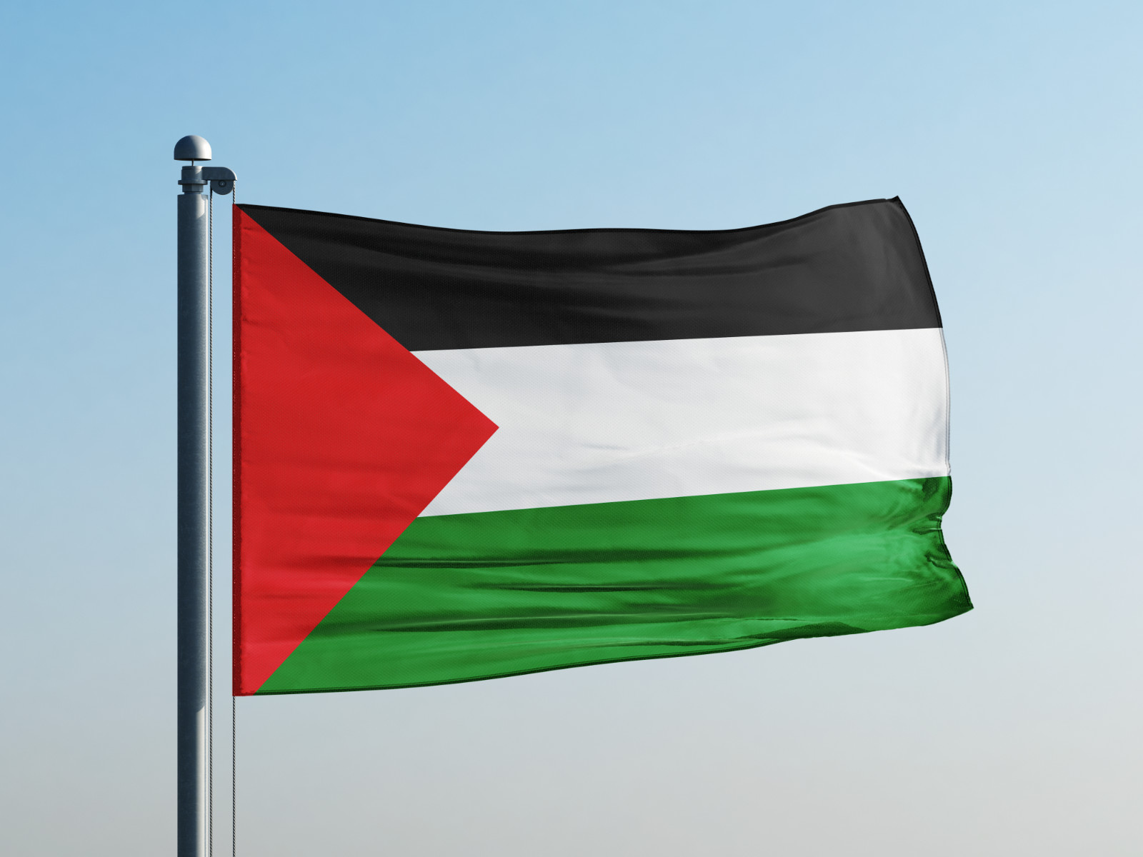 Palestine Flag - Durable Palestinian National Banner for Indoor/Outdoor Use gallery